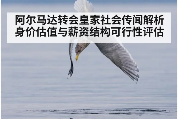 阿尔马达转会皇家社会传闻解析 身价估值与薪资结构可行性评估
