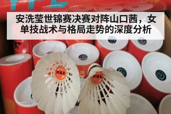 安洗莹世锦赛决赛对阵山口茜，女单技战术与格局走势的深度分析